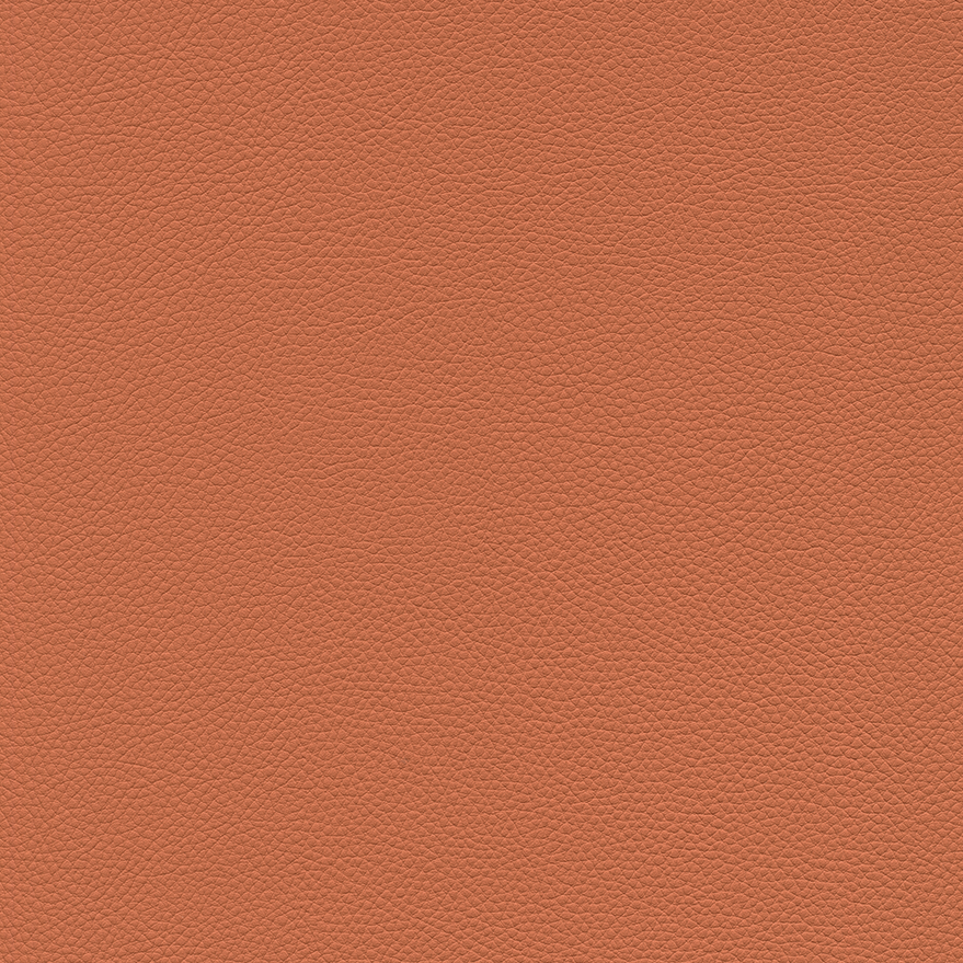 Toronto EN orange rust