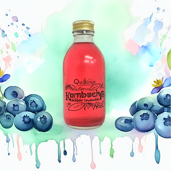 BLÅBÄR LAVENDEL EKO KOMBUCHA 20cl  