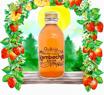 KÄRLEK EKO KOMBUCHA 20cl Qvillinge