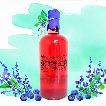 BLÅBÄR LAVENDEL EKO KOMBUCHA 70cl Qvillinge