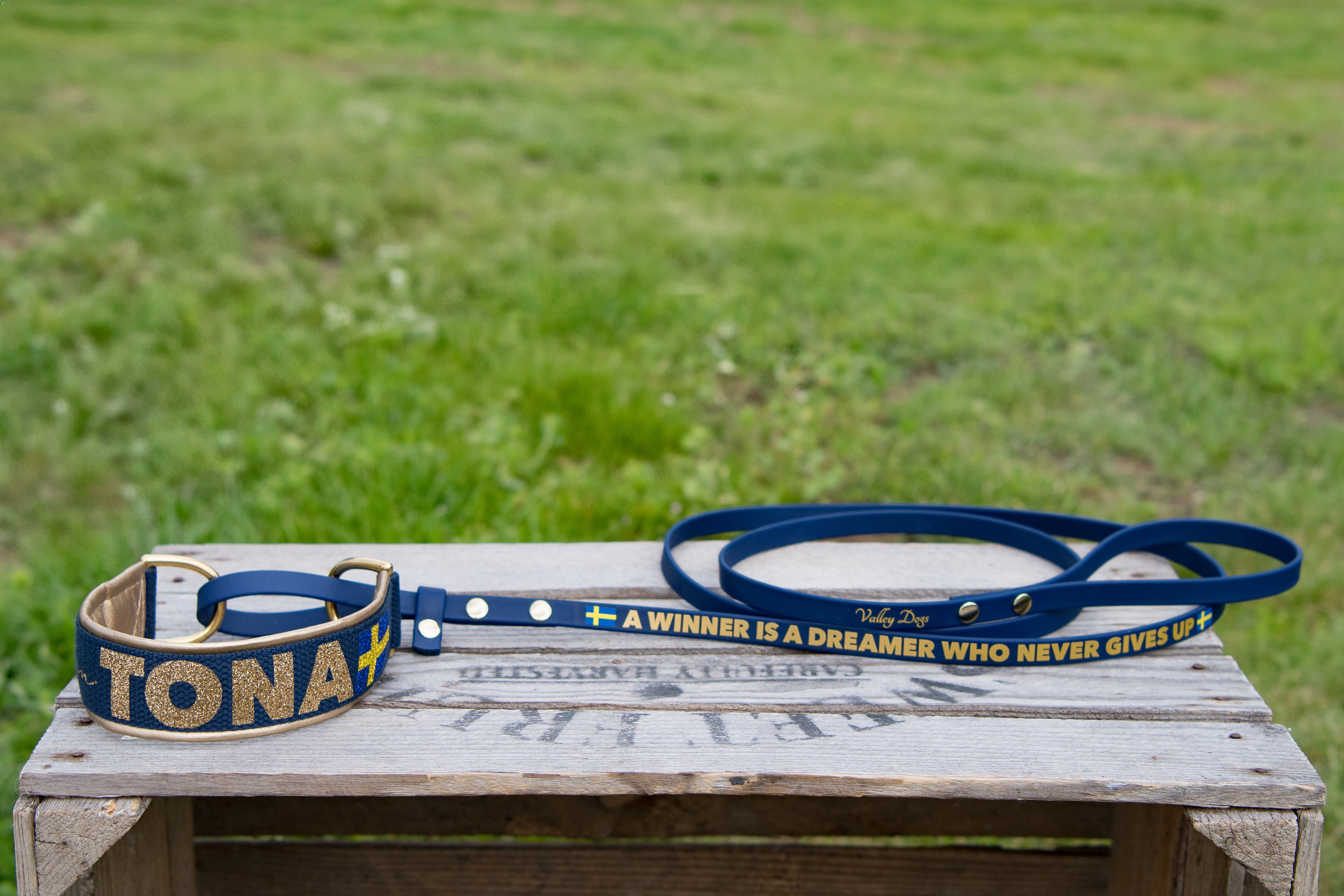 Allt-i-ett-koppel med 4 cm bomullshalsband