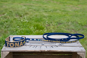 All-in-one-leash with 4 cm cotton webbing