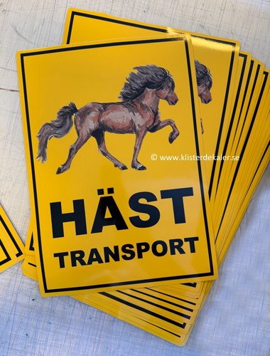 Transportdekal A3 Islandshäst Färg 1