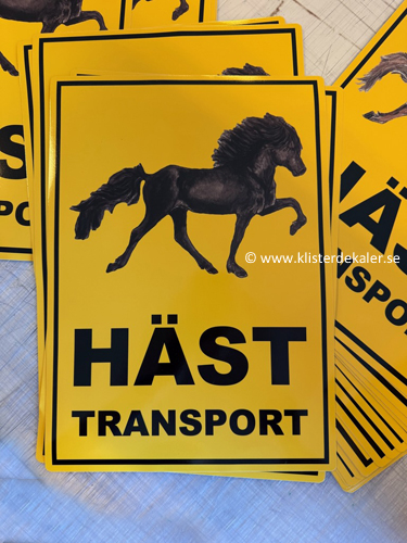 Transportdekal A3 Islandshäst Färg 2