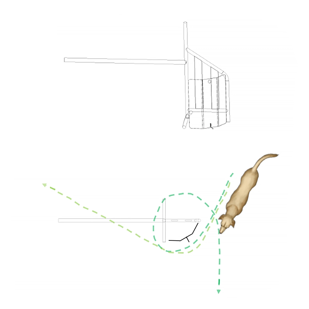 SafeStrideSolution Stride guide - 7