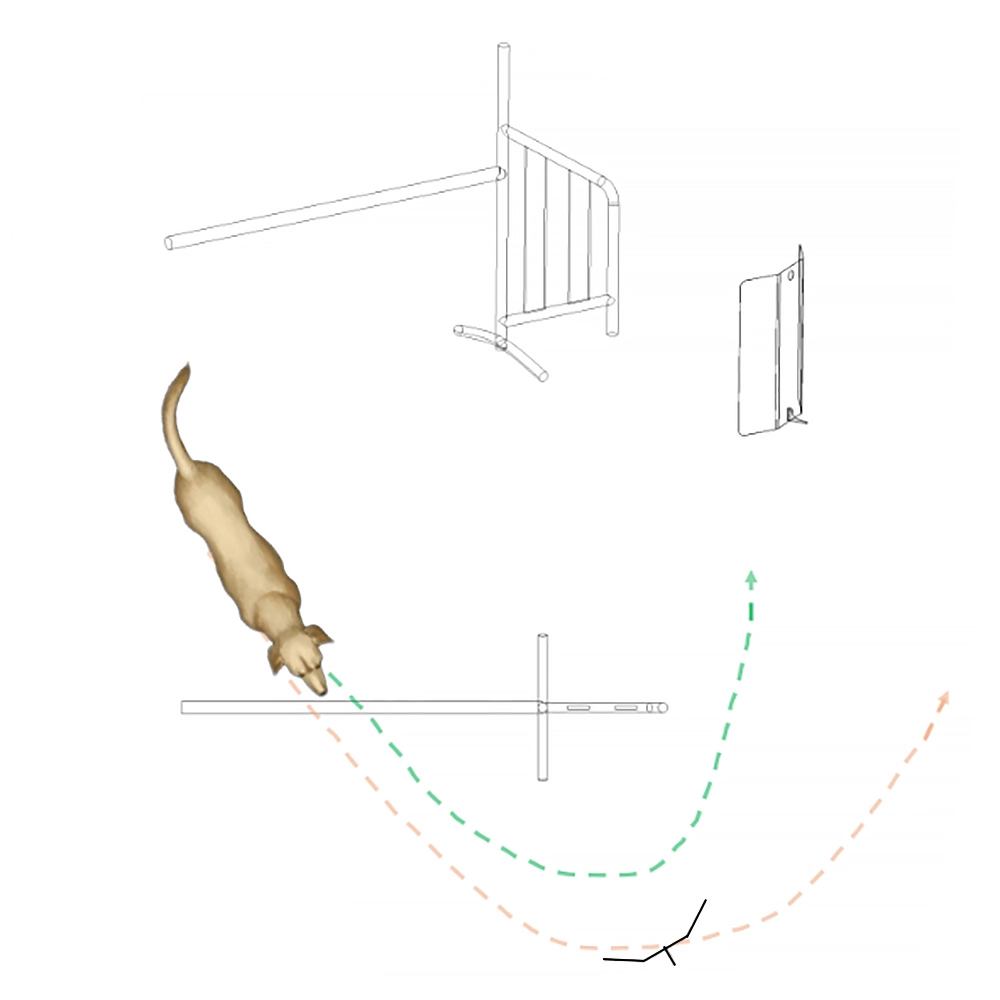 SafeStrideSolution Stride guide - 6