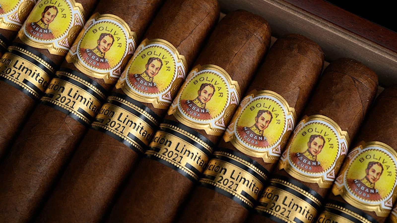 Bolivar Regentes Edición Limitada 2021 - 2