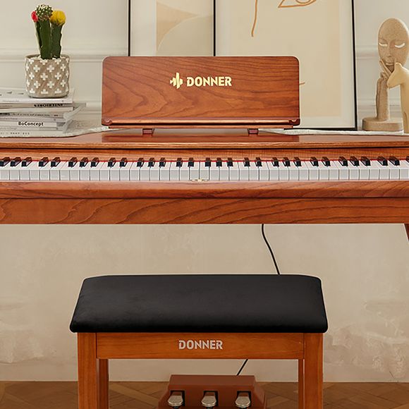 Donner DDP-80PRO - 5