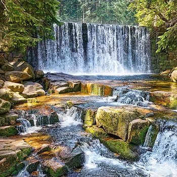 Forest Cascade, 2000 Bitar CherryPazzi