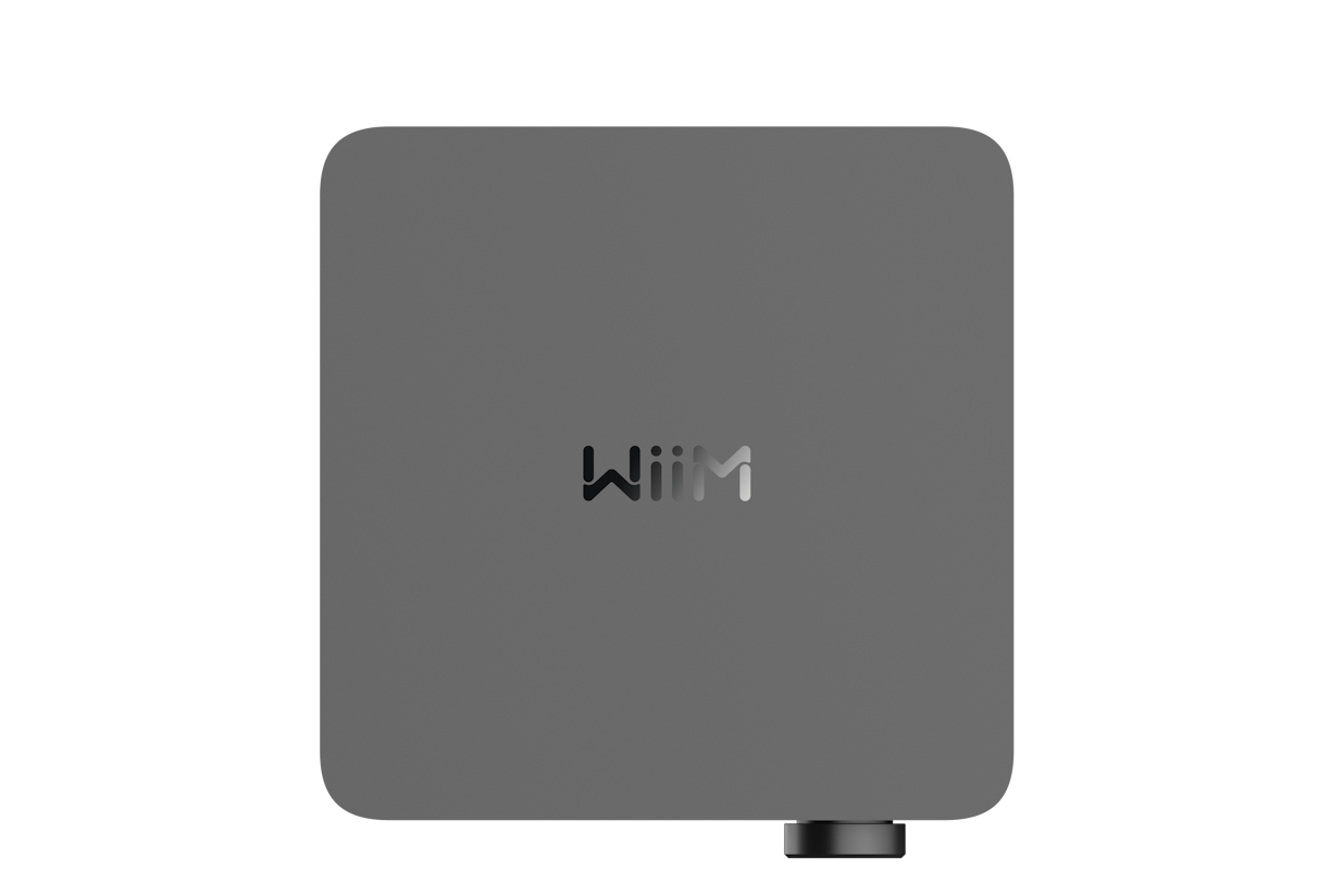 Wiim AMP Ultra - 7