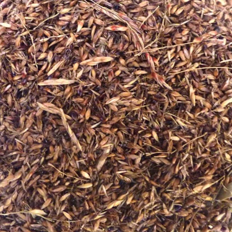 Delicha - 2