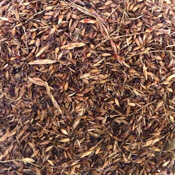 Delicha