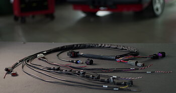 QwickLoom FlexFit harness 90% ready for MaxxECU