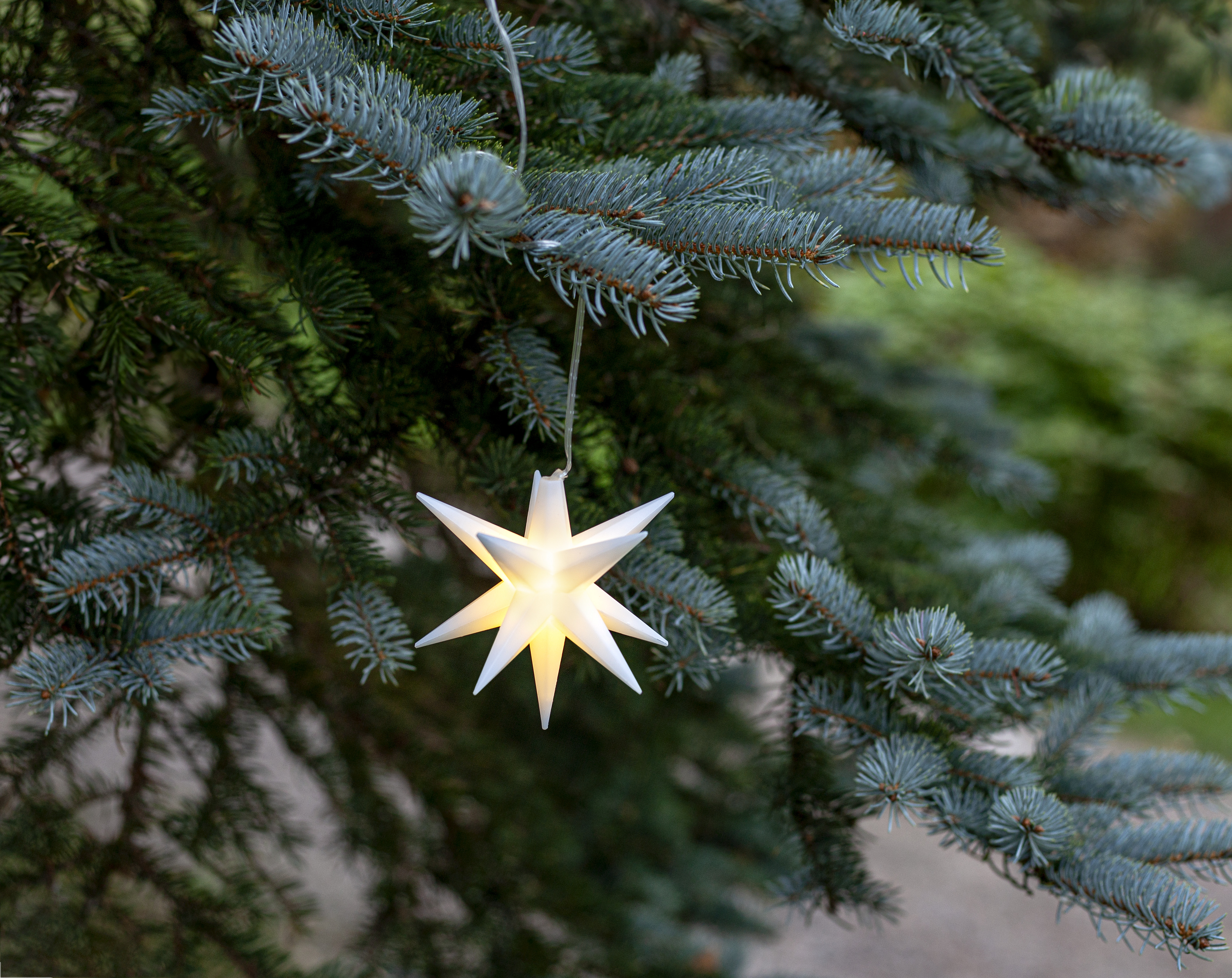 Advent star - Alice - White - 10x10 cm - 2