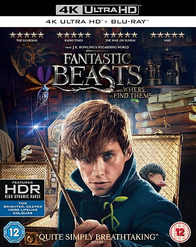 Fantastic Beasts And Where To Find Them (BLU-RAY 4K ULTRA HD + BLU-RAY)