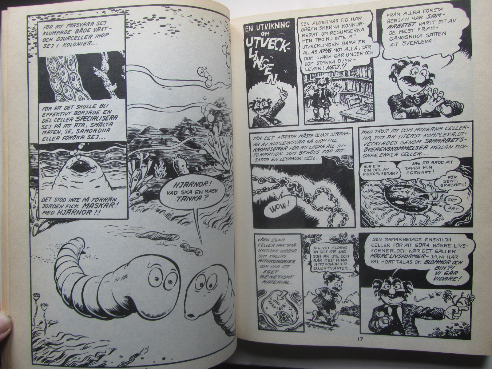 Världens historia - 4