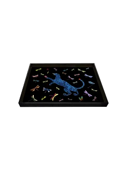 Ortigia Tray Dragonflies Small