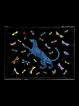 Ortigia Tray Dragonflies Small