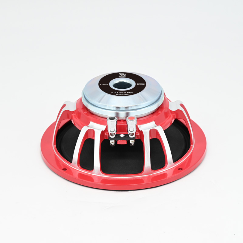 RJAUDIO RJM-80.3neo - 3