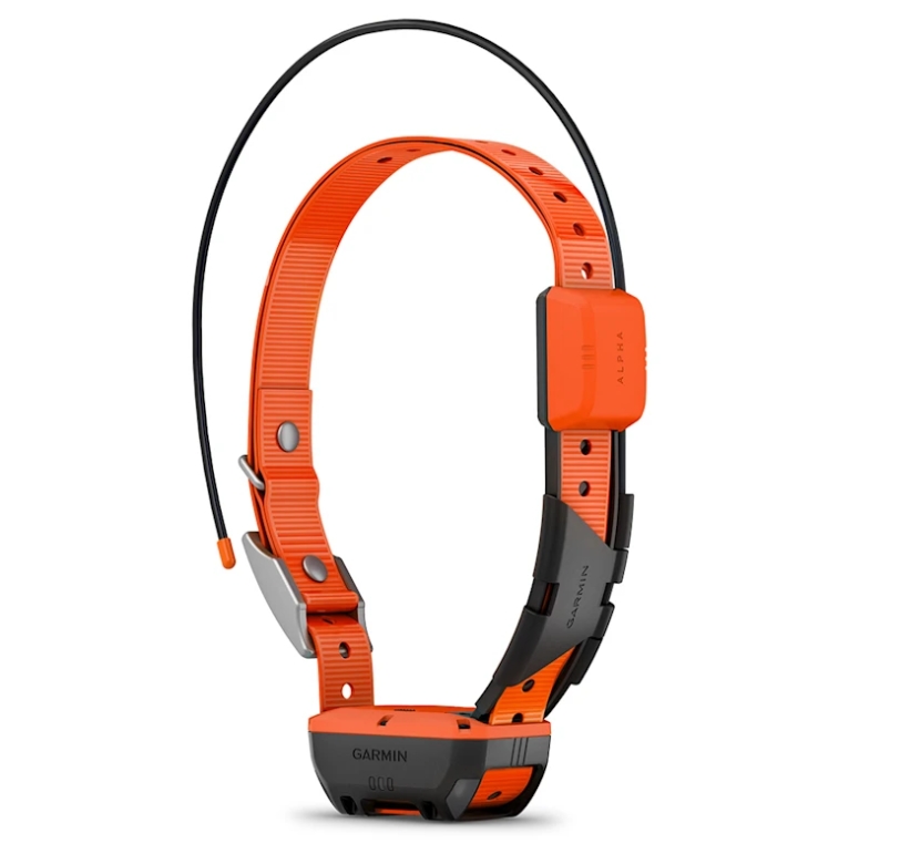 Garmin T 20 Hundhalsband - 2