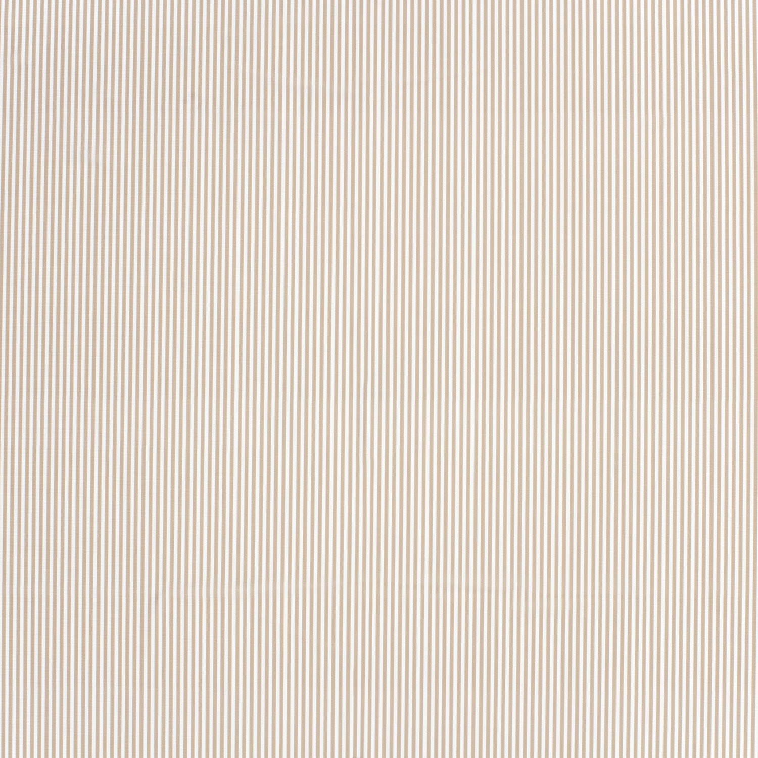 LYCRA - MINI STRIPE BEIGE - 2