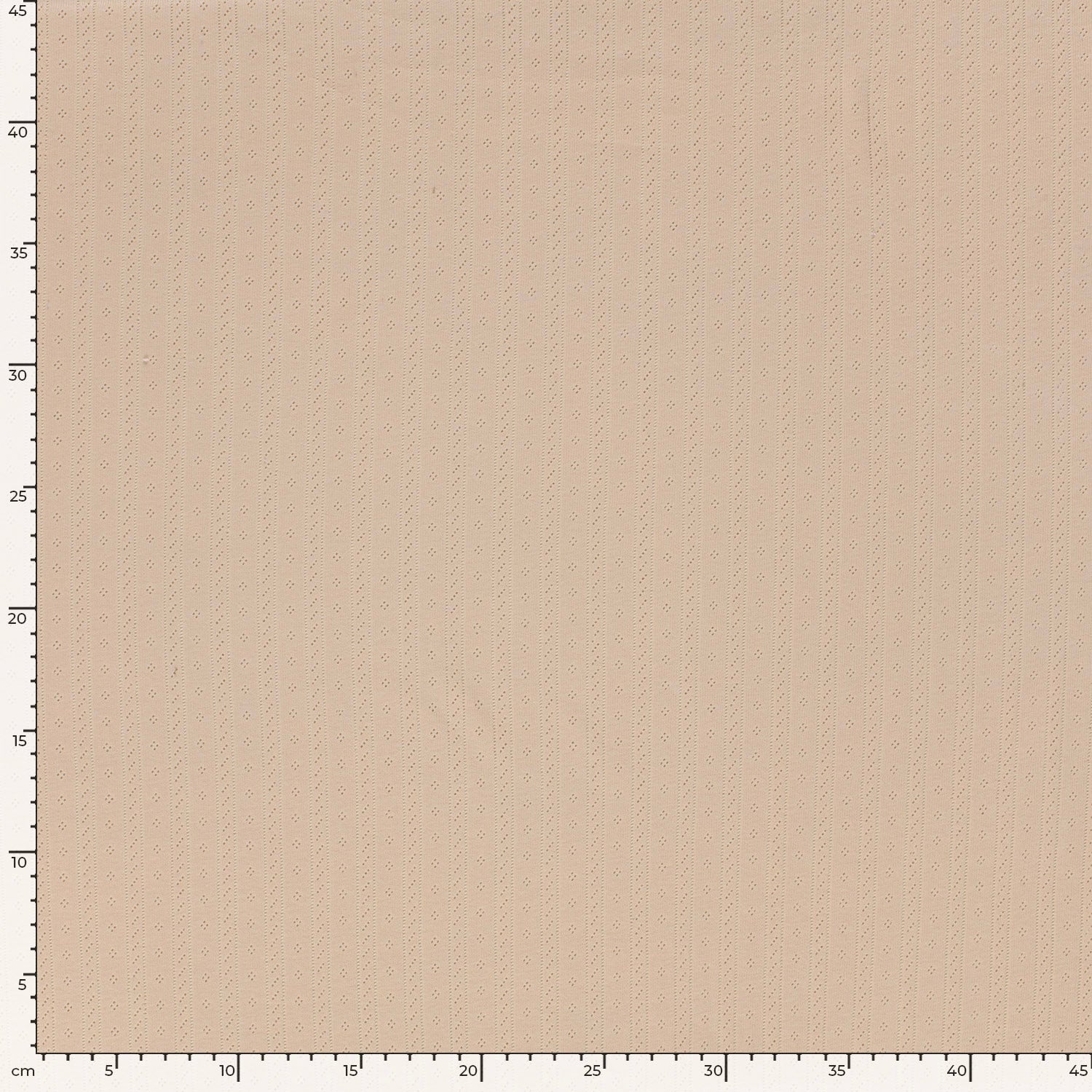 POINTELLE STRIPE N DOTS - BEIGE - 4