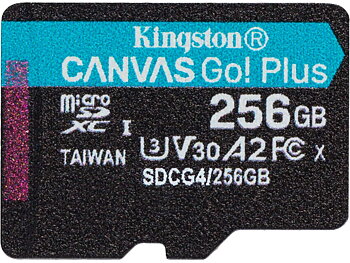 Kingston Canvas Go! Plus microSD 256GB