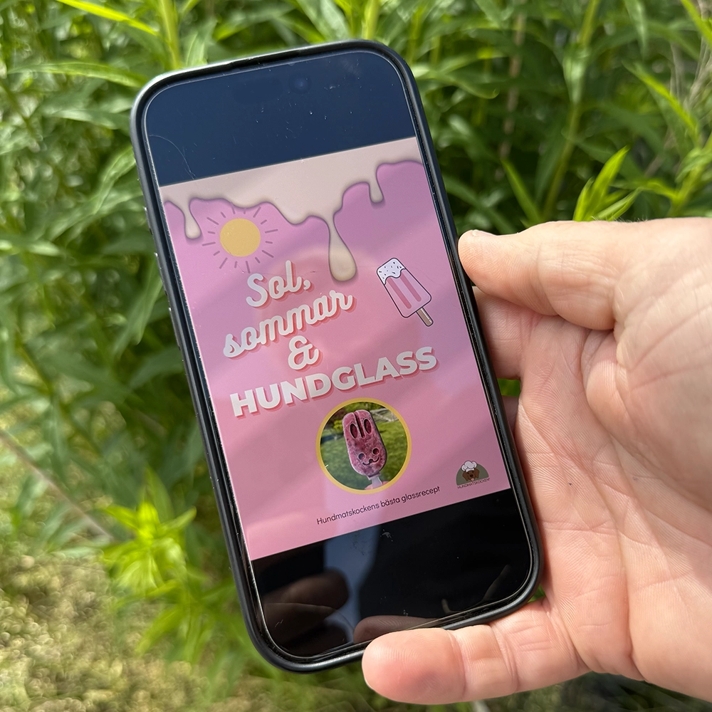 E-book: Summer, sun &amp; homemade dog ice cream dog food chef Susanne Lindberg
