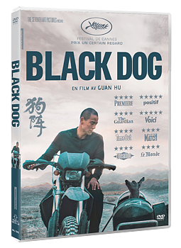 Black Dog