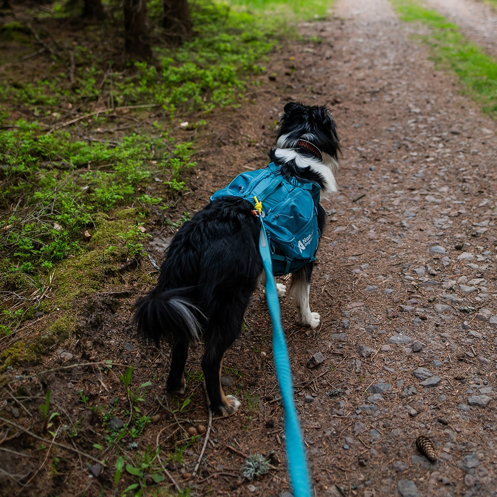 Non-stop Trail quest dog backpack - 6