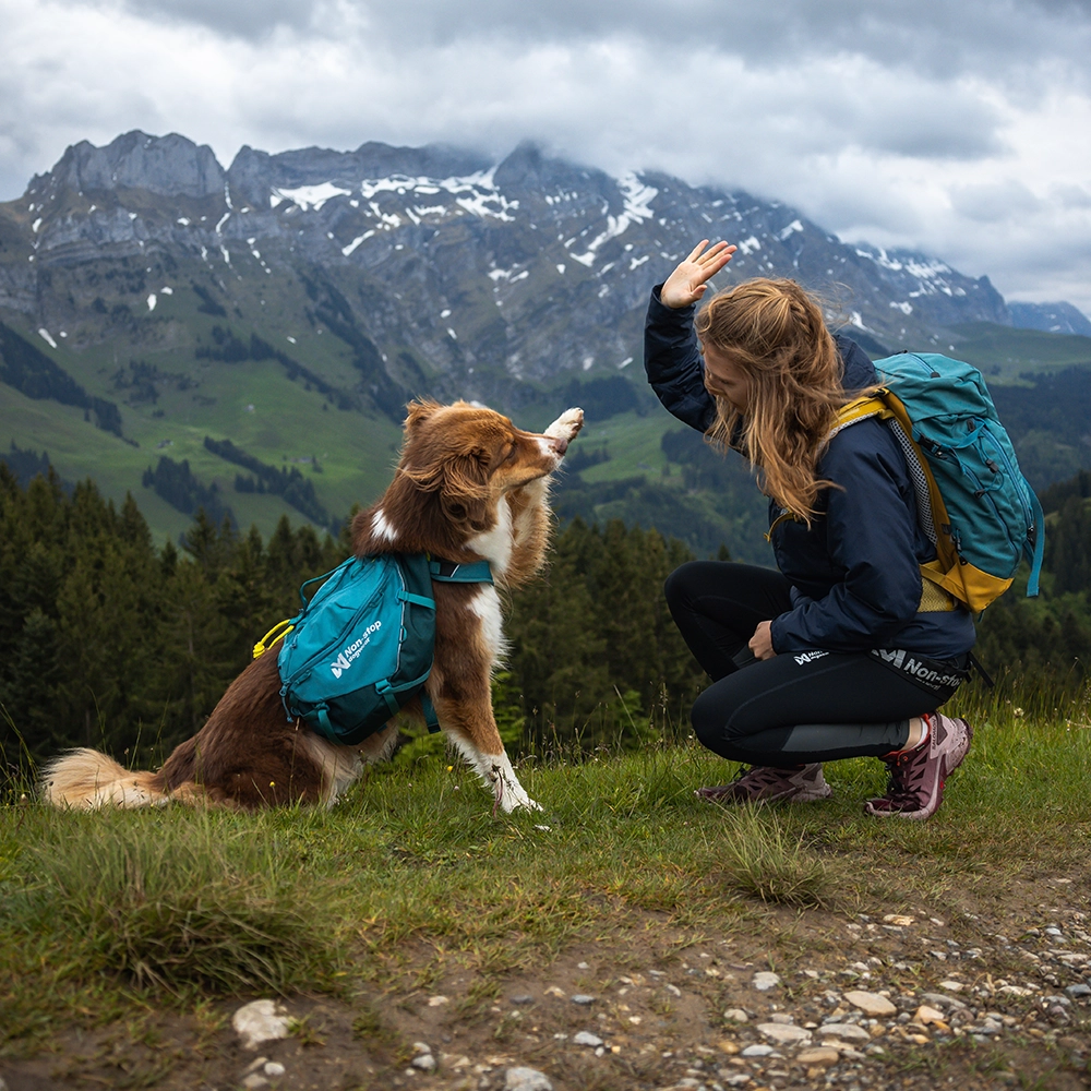 Non-stop Trail quest dog backpack - 5