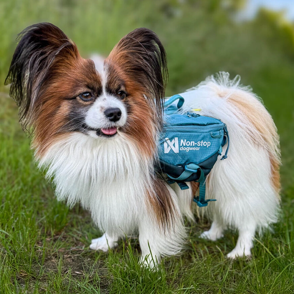 Non-stop Trail quest dog backpack - 4
