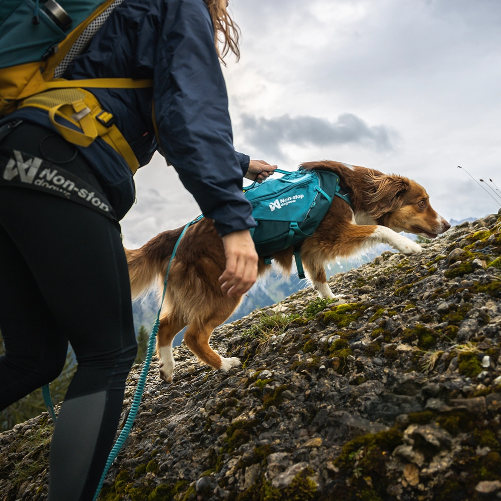 Non-stop Trail quest dog backpack - 7