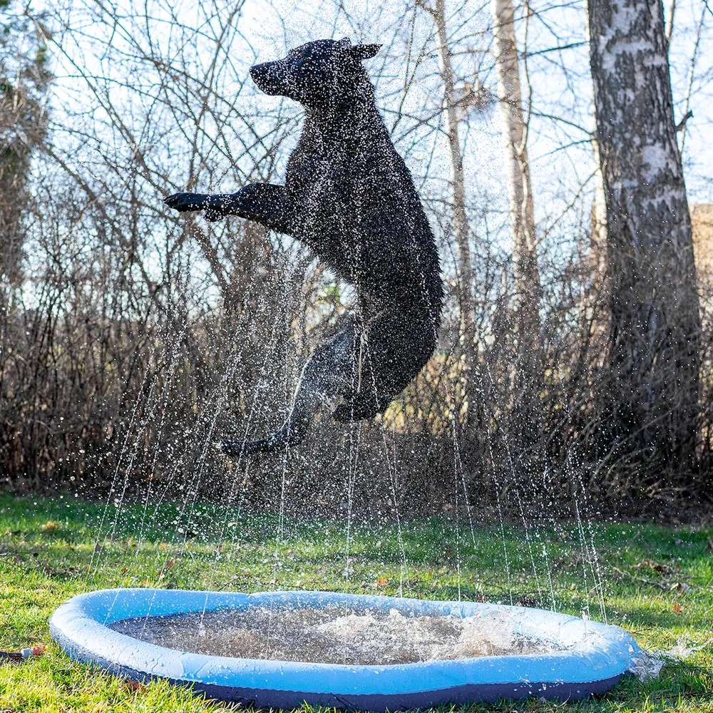 Dog Splash Pool, 150cm - 3