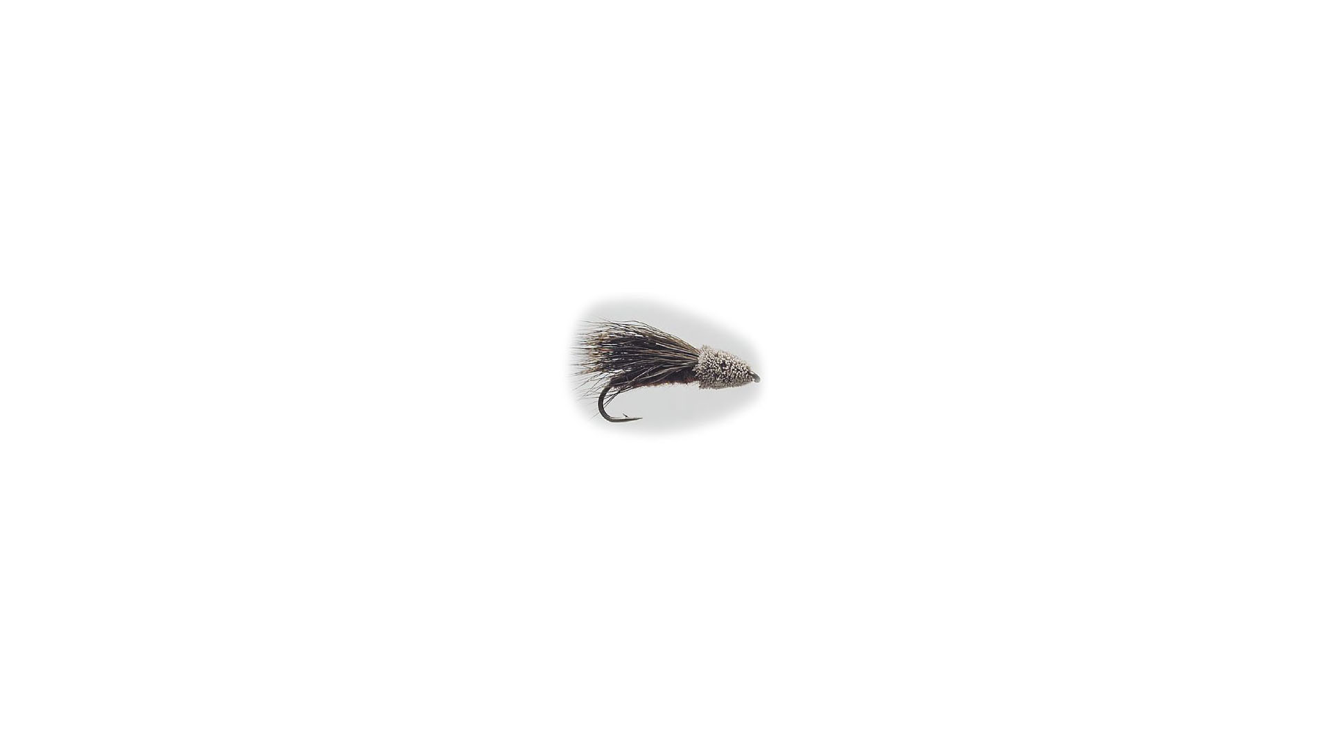 Streaking Caddis