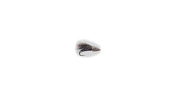 Streaking Caddis