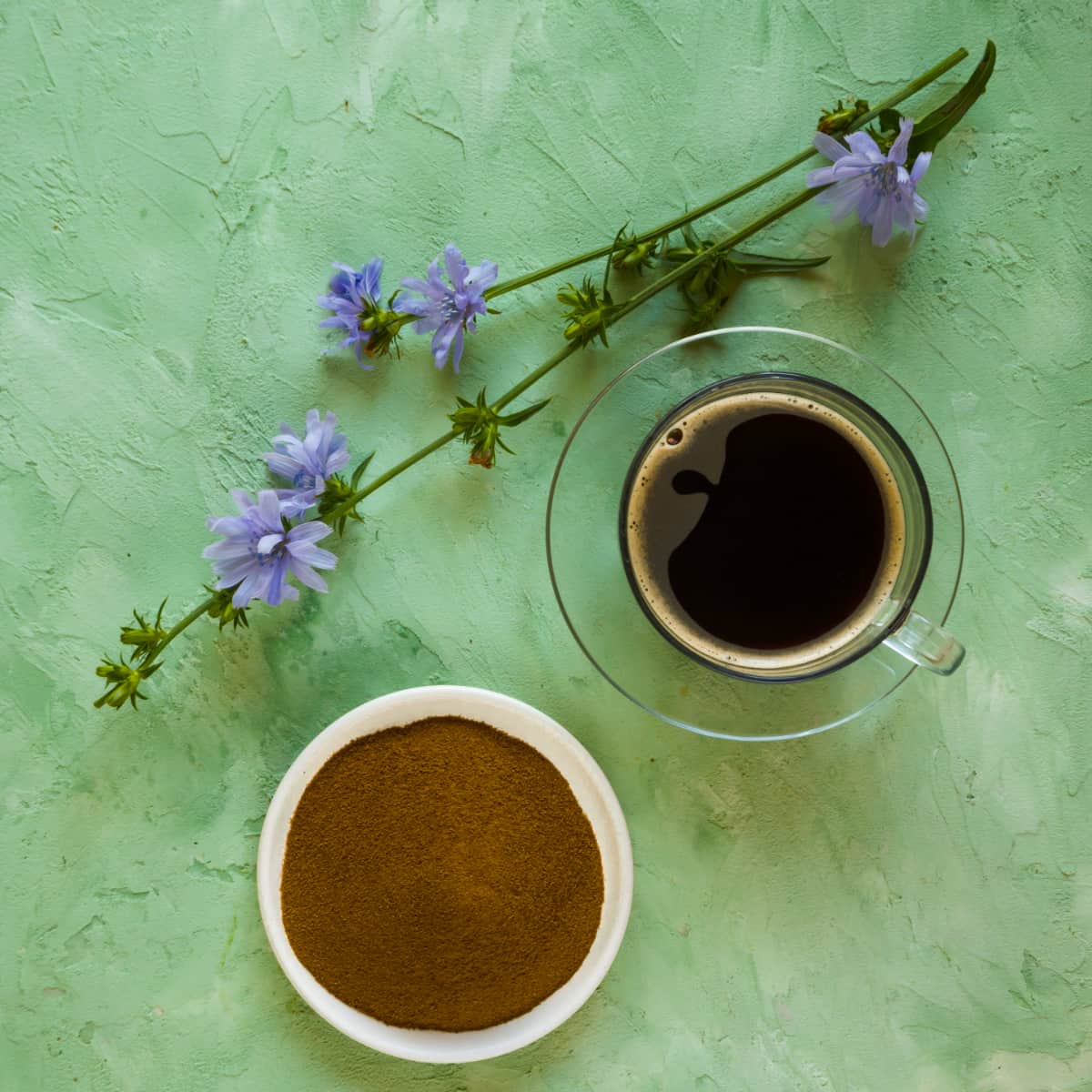 Cikoria - Vägvårda - Kaffesurrogat - 4