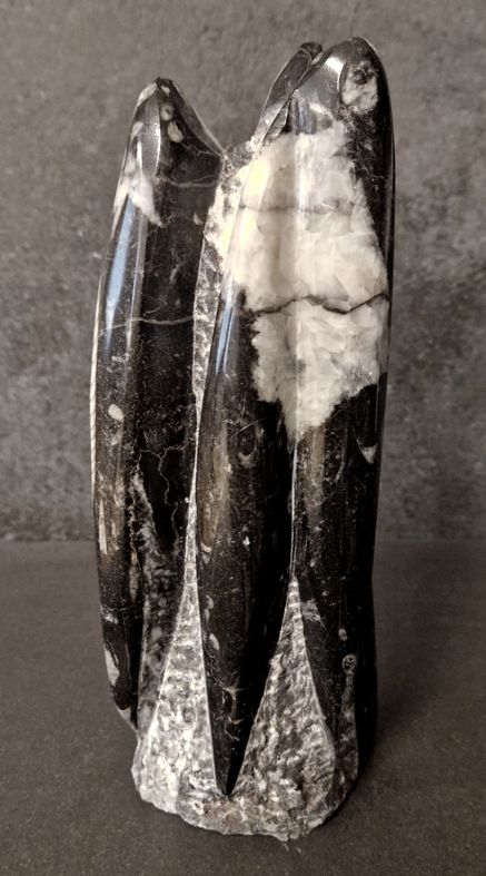 Devonian Orthoceras Fossil i Grundsten, Stående - FOSKU16 - 2