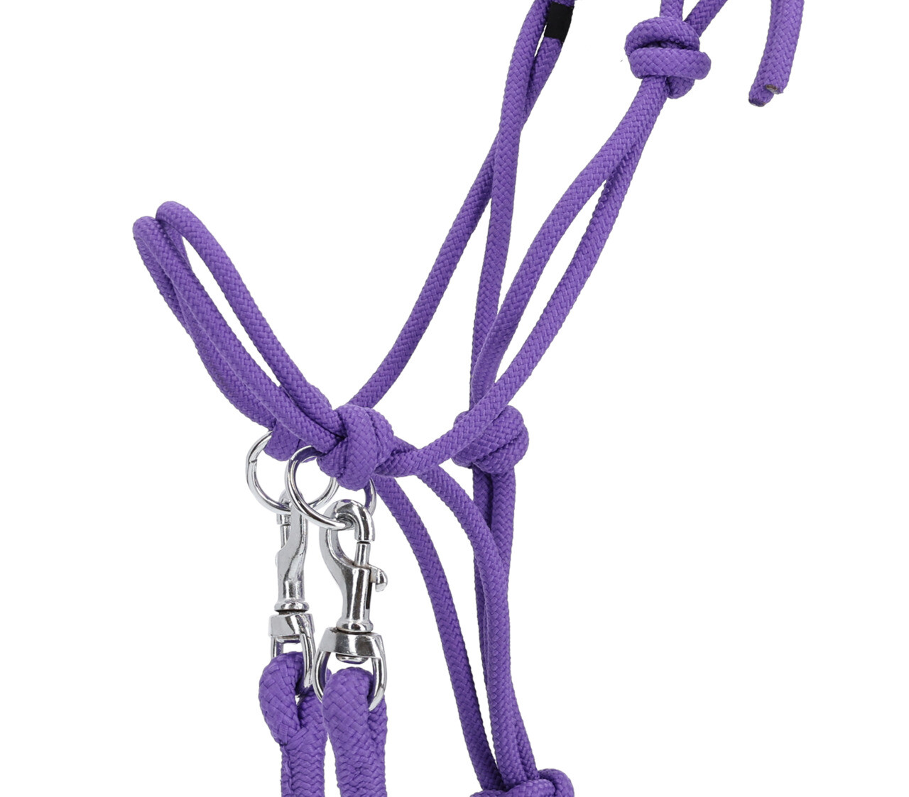 QHP Rope Halter Color with Reins - Passion Flower - versatile