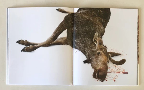 Emil Malmborg: Silent Fauna - 6
