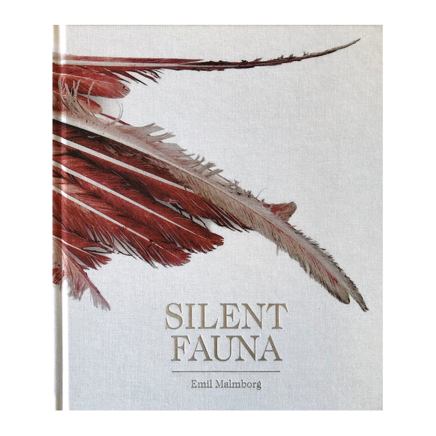 Emil Malmborg: Silent Fauna