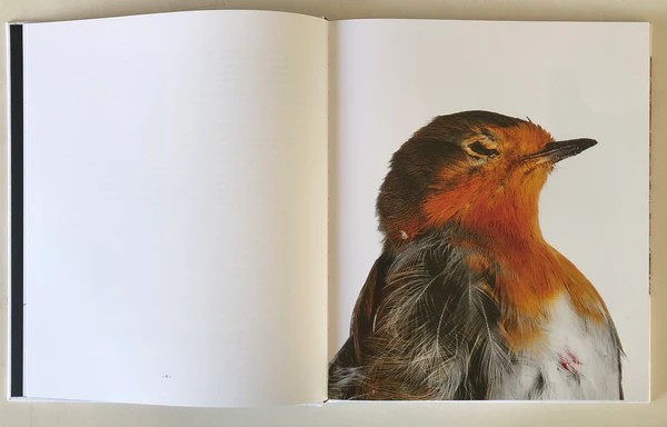 Emil Malmborg: Silent Fauna - 2