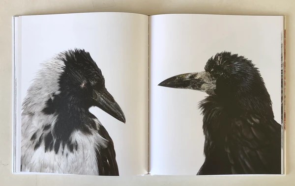 Emil Malmborg: Silent Fauna - 4