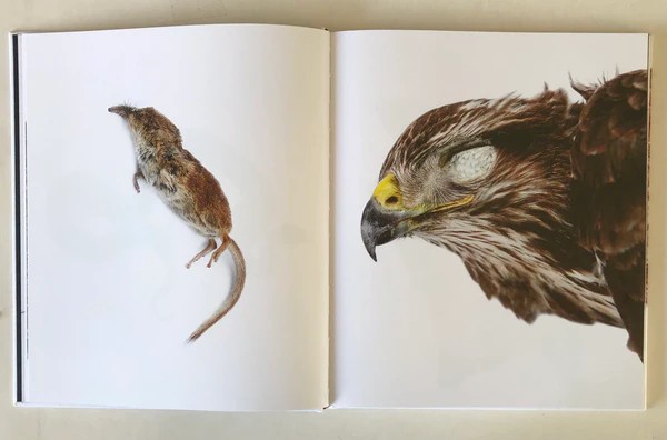 Emil Malmborg: Silent Fauna - 3