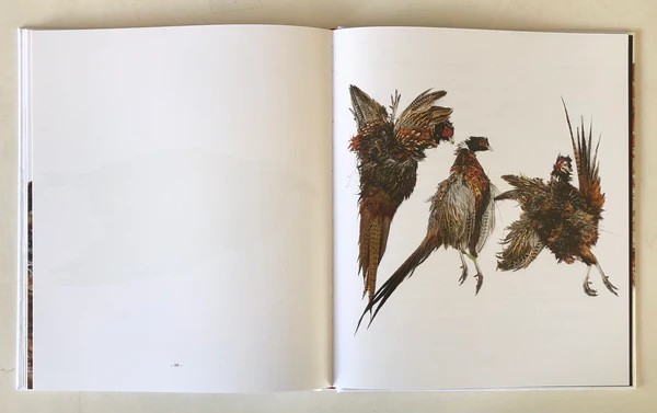 Emil Malmborg: Silent Fauna - 7