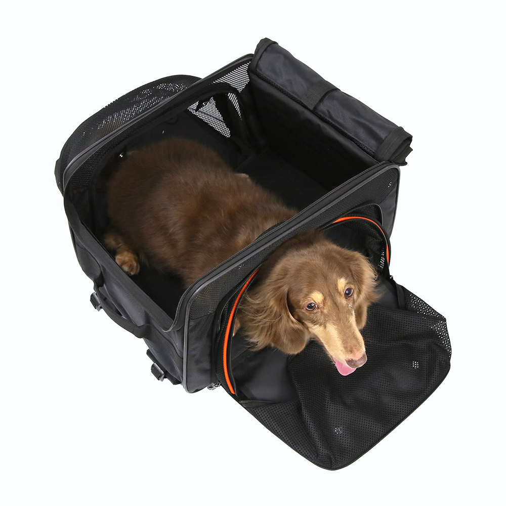 Ibiyaya JetPaw: 3-in-1 Pet Stroller with Removable Airline-Approved Carrier - Black - Comfortable