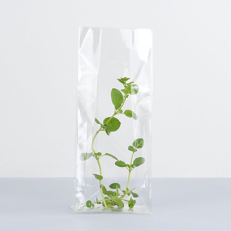 Cellophane bag, 100pcs/pack