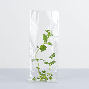 Cellophane bag, 100pcs/pack