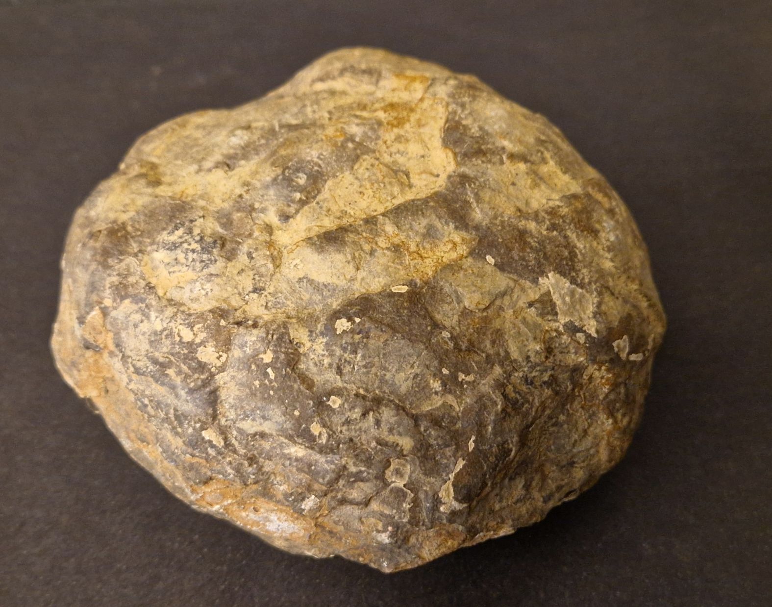 Septaria  Knölar / Nodules  - 2 delar - 2
