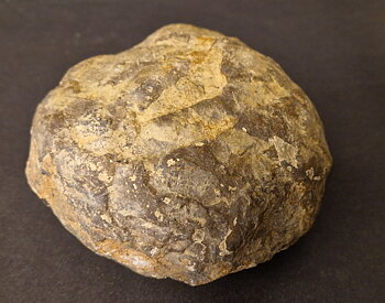 Septaria  Knölar / Nodules  - 2 delar